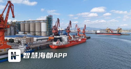 福建糧油新突破 首批6000噸大豆油成功出口，倉儲服務護航國際市場首航