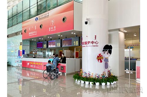 草原晨光映初心——呼倫貝爾事業(yè)部問(wèn)訊服務(wù)一周年側(cè)記